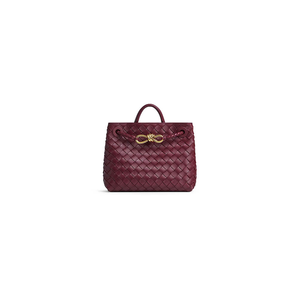 Bottega Veneta Small Andiamo